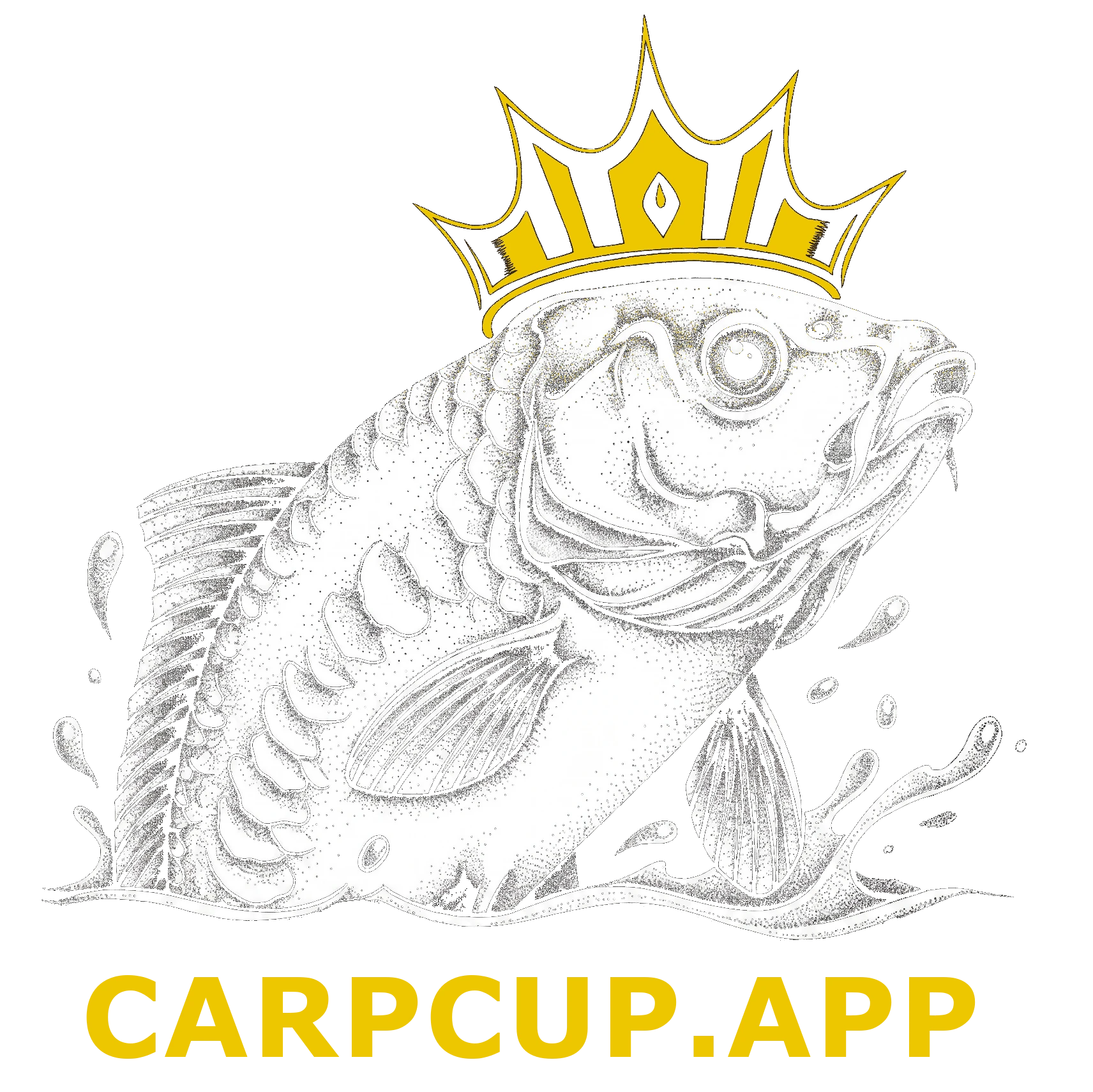 CarpCup.app - ukážka systému pri riadení pretekov